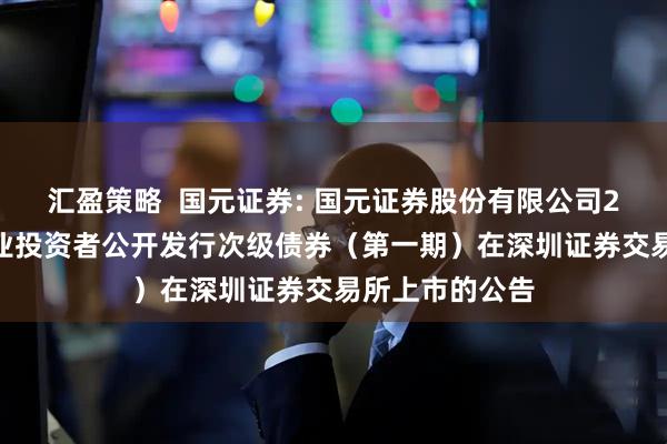 汇盈策略  国元证券: 国元证券股份有限公司2025年面向专业投资者公开发行次级债券（第一期）在深圳证券交易所上市的公告