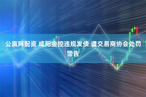 公赢网配资 咸阳金控违规发债 遭交易商协会处罚警告
