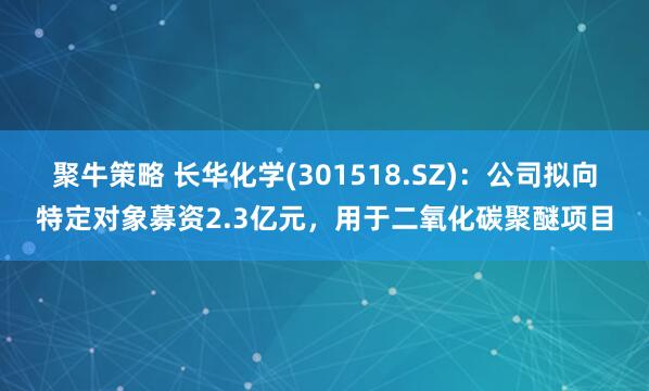 聚牛策略 长华化学(301518.SZ)：公司拟向特定对象募资2.3亿元，用于二氧化碳聚醚项目