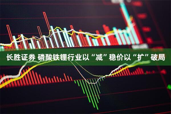长胜证券 磷酸铁锂行业以“减”稳价以“扩”破局